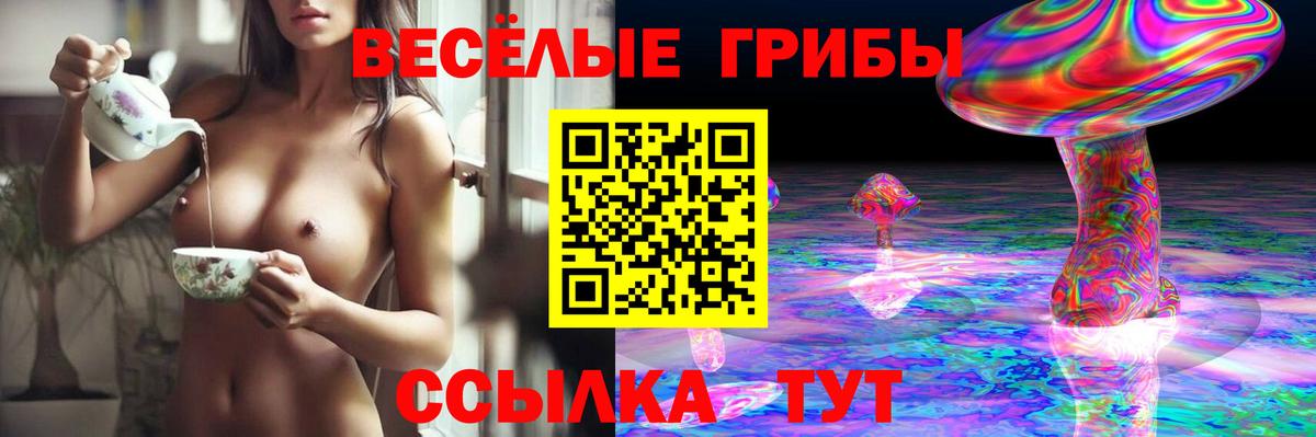 Псилоцибиновые грибы Cubensis Евпатория